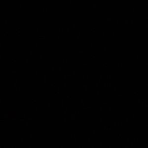 Meet your Posher, Rian